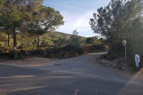 Helårsgrund i Manacor, Mallorca, Manacor - € 390.000 | Ref: 1706 - foto 5